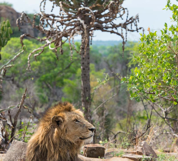 17Terry Ennever Highlights Sept Oct 2