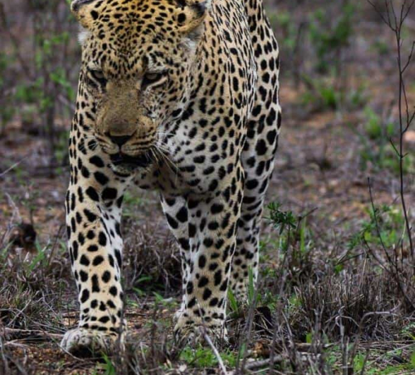 27Louise Murray Xovonokela 12112018 1 Final