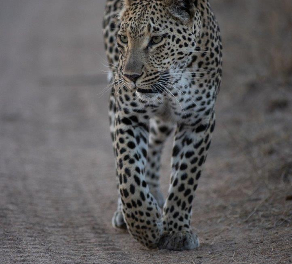 A29Graeme Stewart Ntsumi 240921 Final A29Graeme Stewart Ntsumi 240921 Final