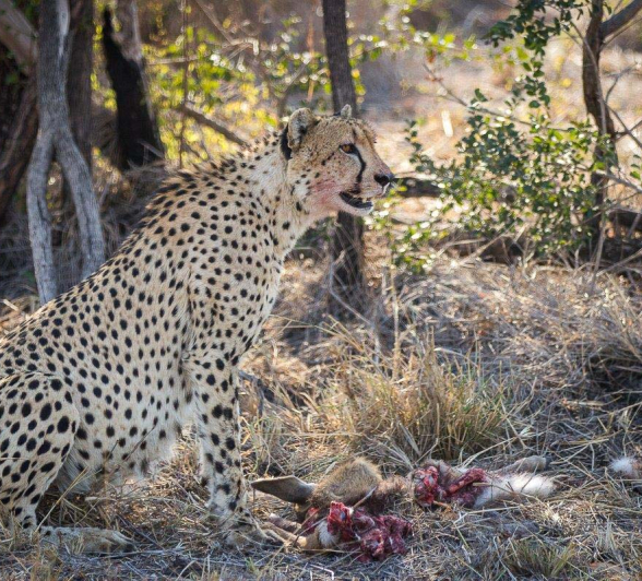 22Franscois Rosslee Ch1 1 Of 1