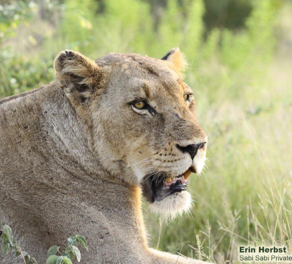 A02Erin Herbst Kambula Infertile 2 080222 Final