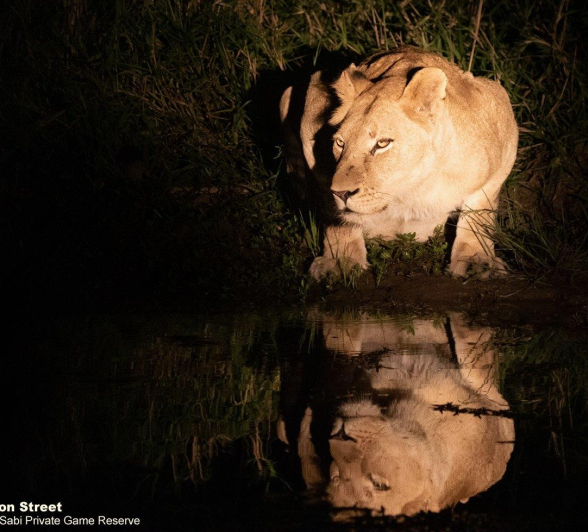 A36Jason Street Mhangene 140422 High Res 2 Final