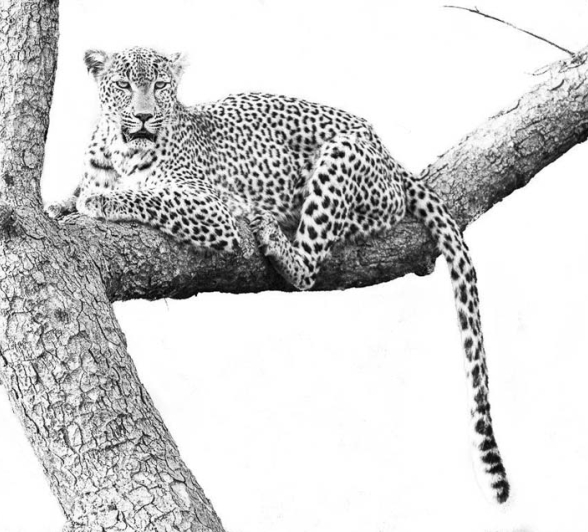 Terry Ennever HighlightsDecJan2