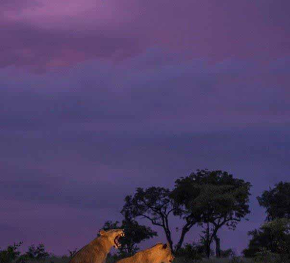 03Terry Ennever SP 18218 5 Final