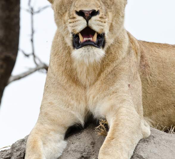 Week In Pictures 25 Week In Pictures 25