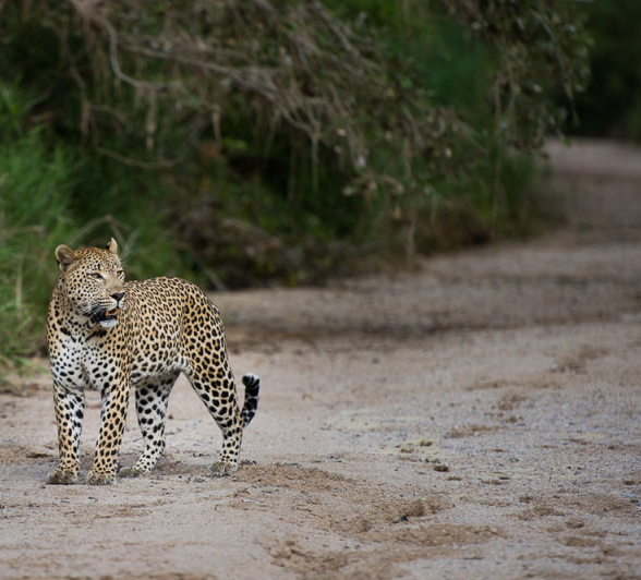 Maxabeni Rich Maxabeni Rich