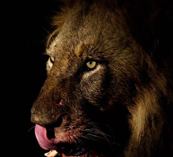 17Mike Palmer Charleston Male 050416