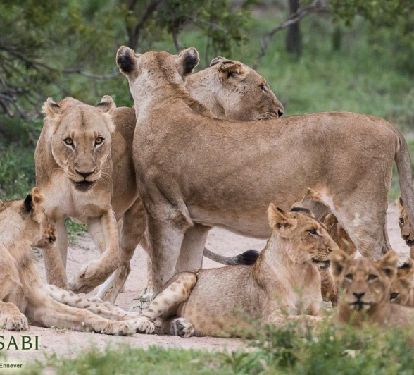 23Terry Ennever SP 251216 Final