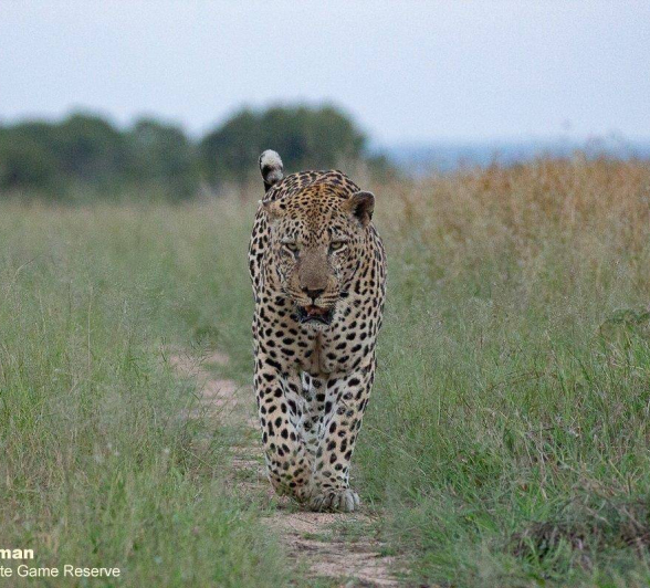 04Brett Heasman Xovo 23042020 Final