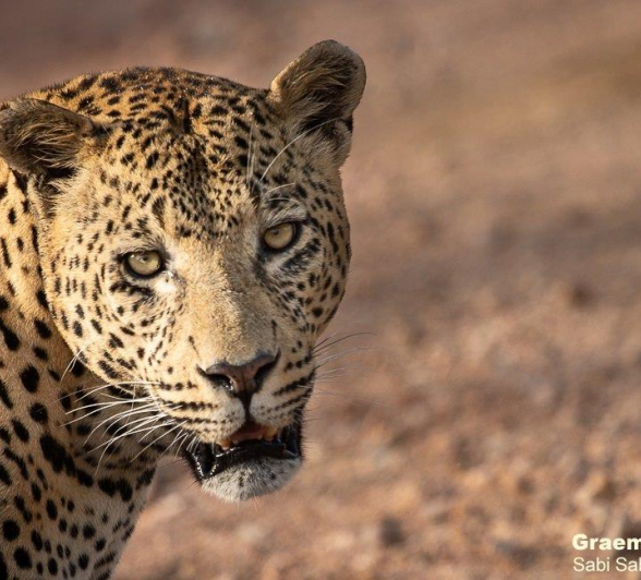 20Graeme Stewart White Dam 140321 1 Final