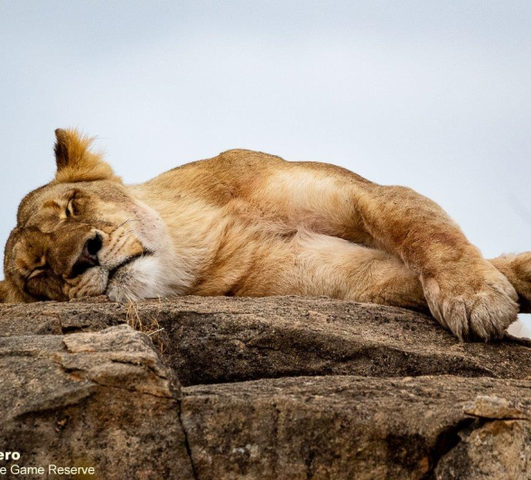 B11ronald Mutero Sp Andd Cubs 17082021 5 B11ronald Mutero Sp Andd Cubs 17082021 5