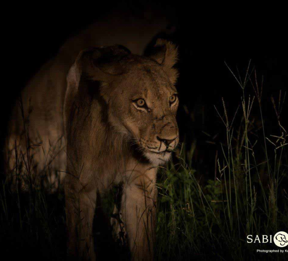 14Kevan Dobbie Mangeni Cubs 200218 6 Final