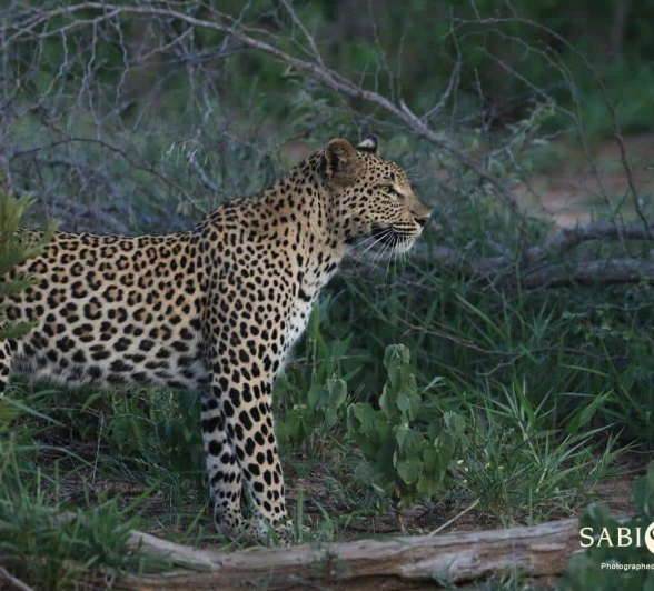 10Steff McWilliam Blog09 Final