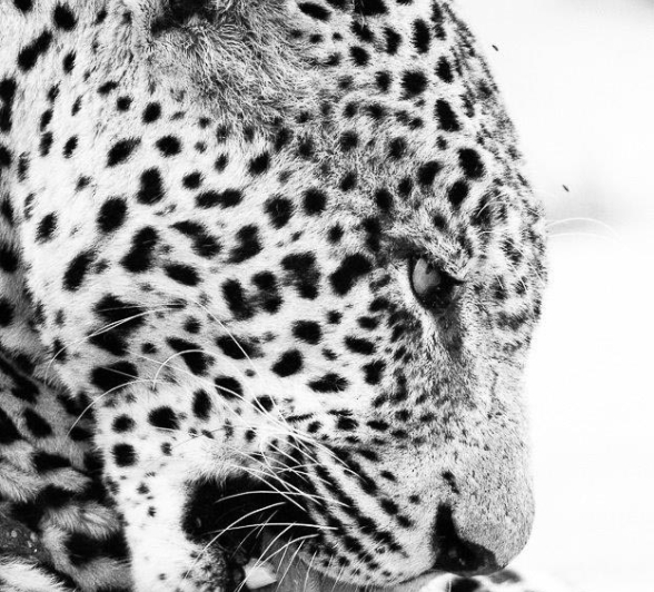 20Terry Ennever Kashane 11117 1 Final