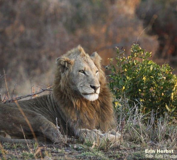 42Erin Herbst Nwas 190721 Final