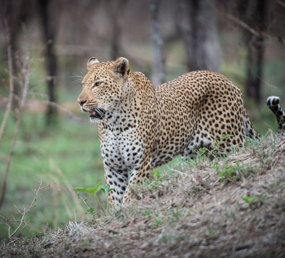 HighlightsOct Nov8.Terry 