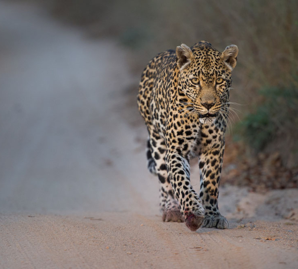 Nottins Rich Nottins Rich