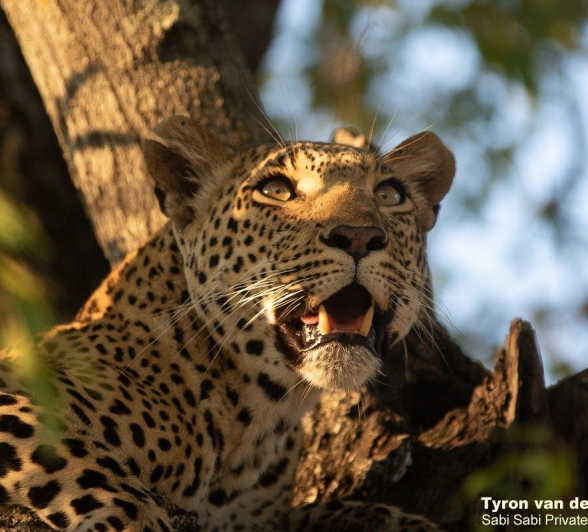 B10Tyron Van Der Walt Kigelia 270821 1 Final B10Tyron Van Der Walt Kigelia 270821 1 Final