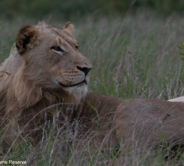 A15Jason Street Talamati 311222 1. Final