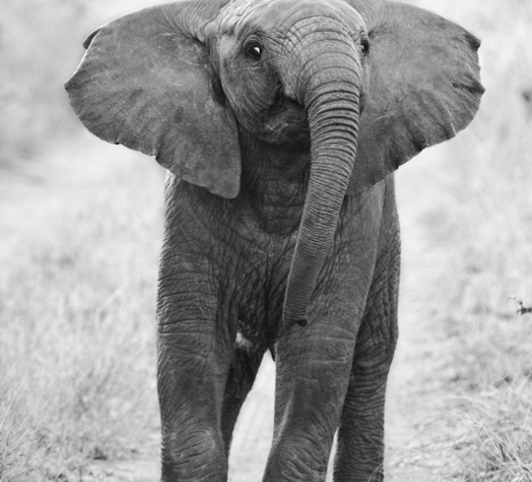 Week In Pictures 19 Week In Pictures 19