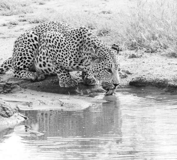 18Kevin Van Der Linde Maxabeni 20022019 2 Final 18Kevin Van Der Linde Maxabeni 20022019 2 Final