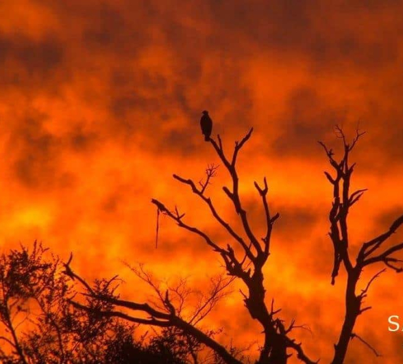04Daniel Hitchings Sunset 20190408 Edit Final 04Daniel Hitchings Sunset 20190408 Edit Final