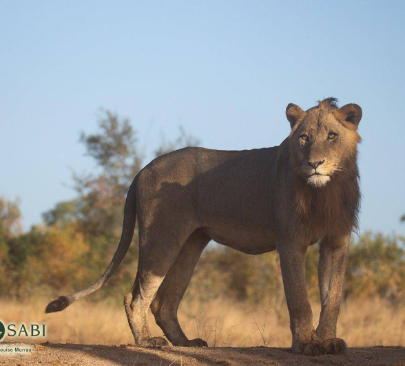 08Louise Murray Sp 10062019 2 Final 08Louise Murray Sp 10062019 2 Final