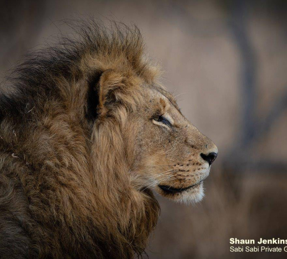 26Shaun Jenkinson Othawa Final 26Shaun Jenkinson Othawa Final