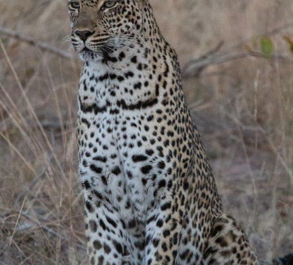 06Greg Heasman Scotia 09072020 1 Final