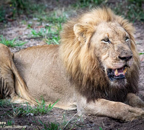 03ronald Mutero Nwash And Sp 27112020  5 Final