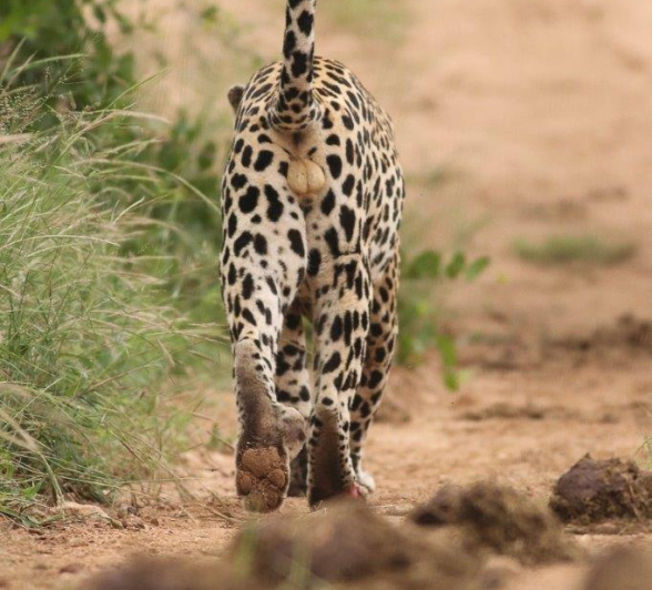 32Marco Vietti Xovo 090221 Final