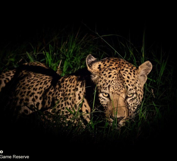 21ronald Mutero White Dam 23022021 4 Final