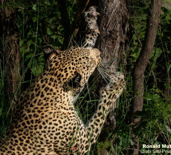 A20ronald Mutero Keegelia 19012022 3 Final