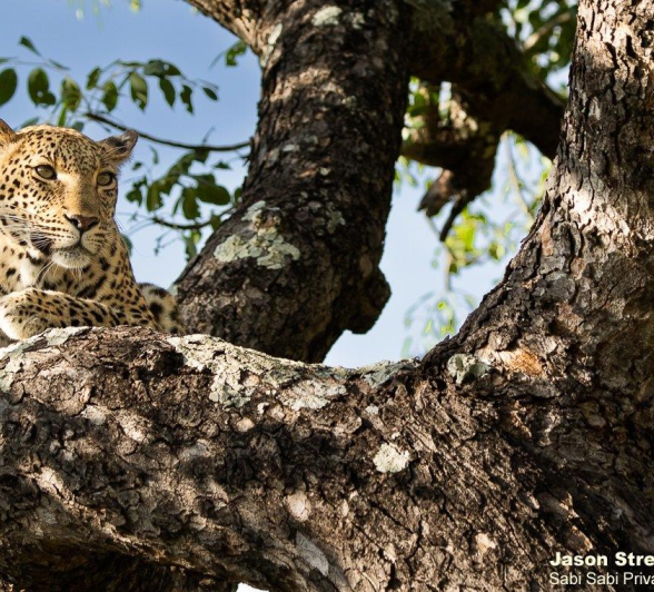 A20Jason Street Kigelia 260322 4 Final