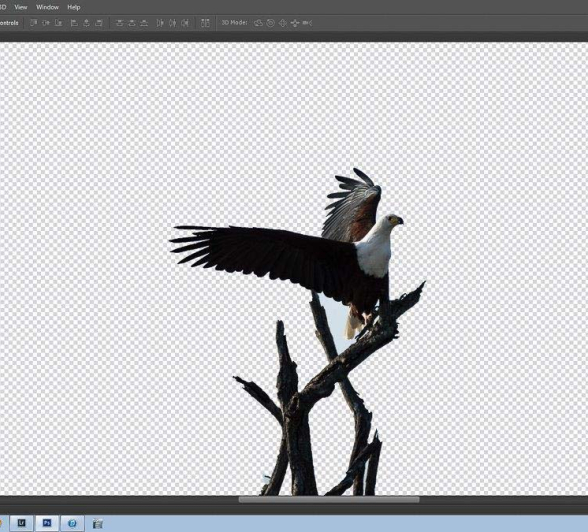 08 14June16 Sheldon Hooper Process 6