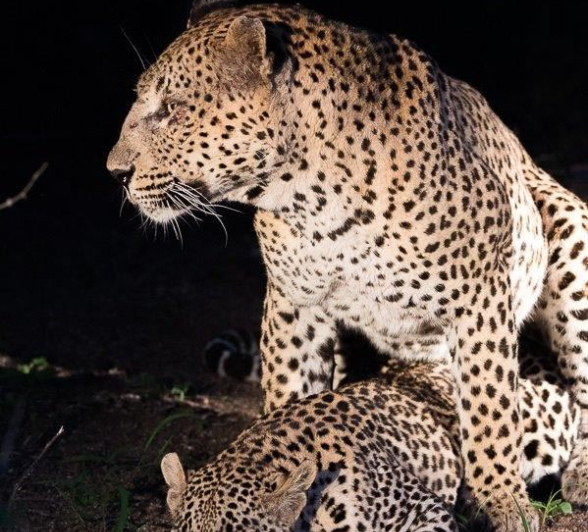 18Terry Ennever Max Totolwa 4117 Final