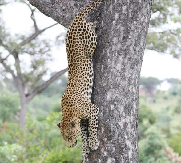 19Ally Ross 20190223 White Dam 01 Final 19Ally Ross 20190223 White Dam 01 Final