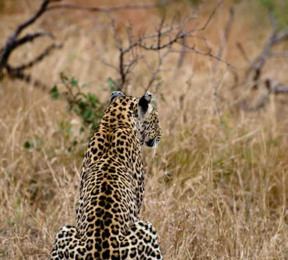 Nikon Family Weekend 11