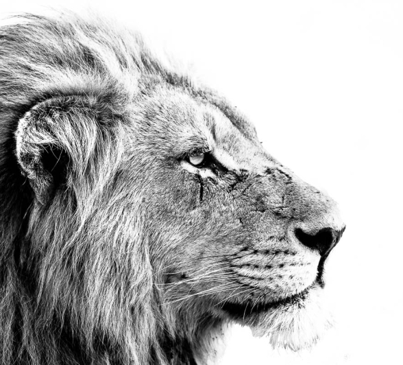 18Terry Ennever Highlights Sept Oct 15