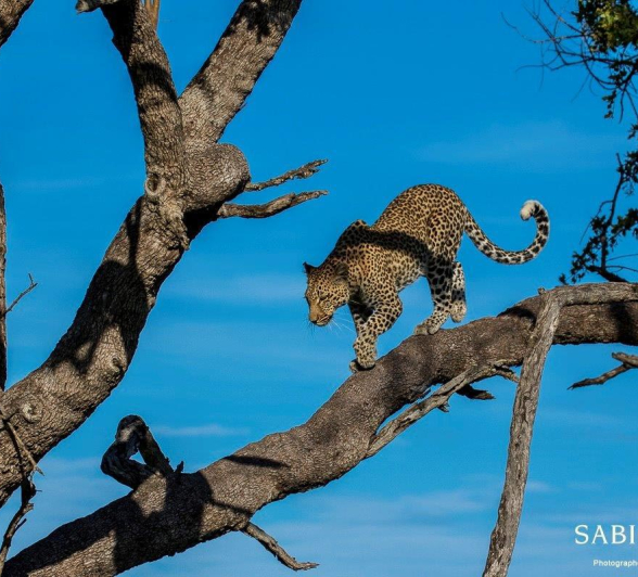 20Kyle 11 Jan 2017 LBC Explore 2 Final 20Kyle 11 Jan 2017 LBC Explore 2 Final