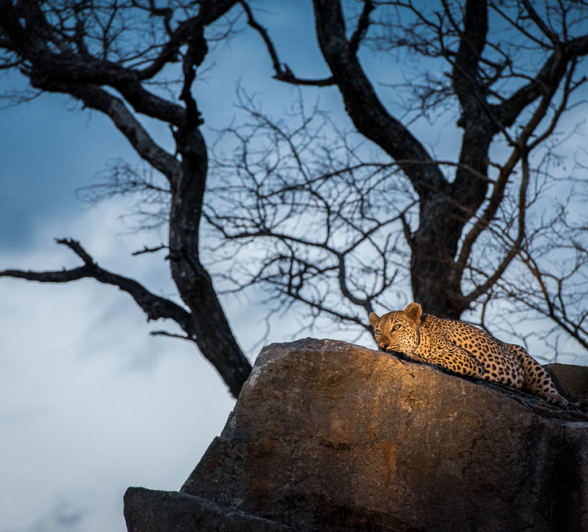 Mike Palmer Mandleve Male 2 Mike Palmer Mandleve Male 2