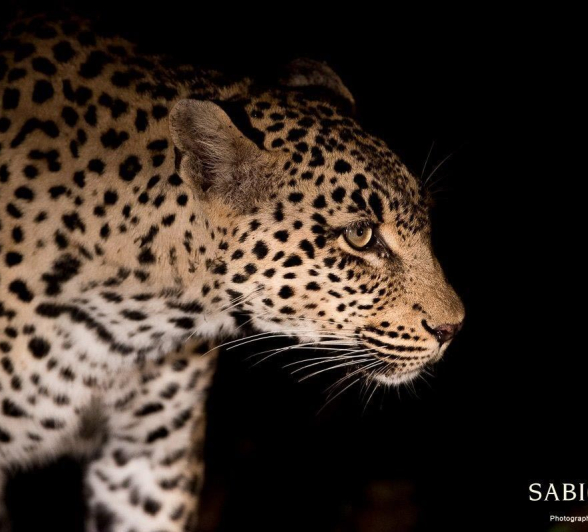 17Terry Ennever Max Totolwa 4117 2 Final