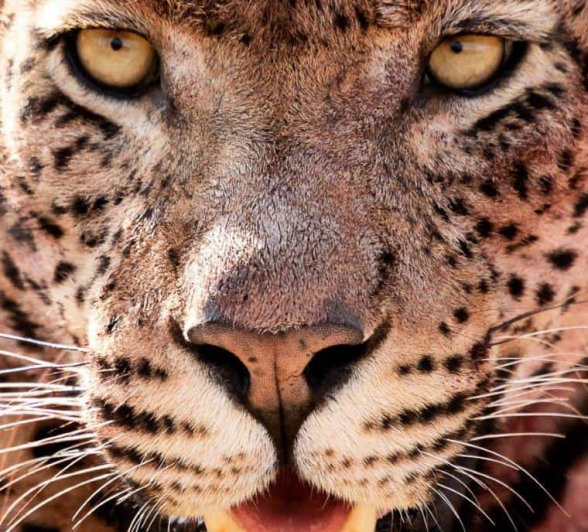 34Kevin Van Der Linde White Dam 01092019 6 Final