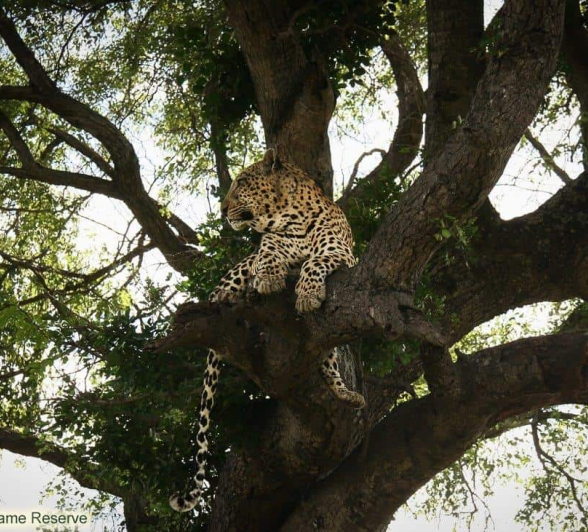 13Ruth Berning Xovonakelo 08 03 2020 2 Final