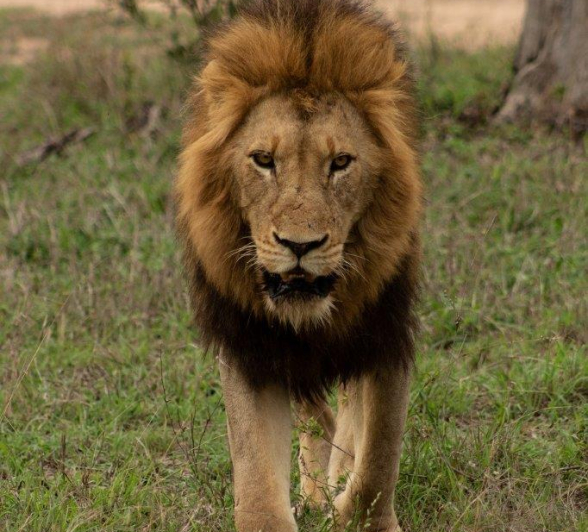 B06David Den Hartog Nwas Male 11 17 2021 7 Final B06David Den Hartog Nwas Male 11 17 2021 7 Final