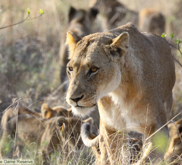 B08Erin Herbst Styx 1 211021 Final