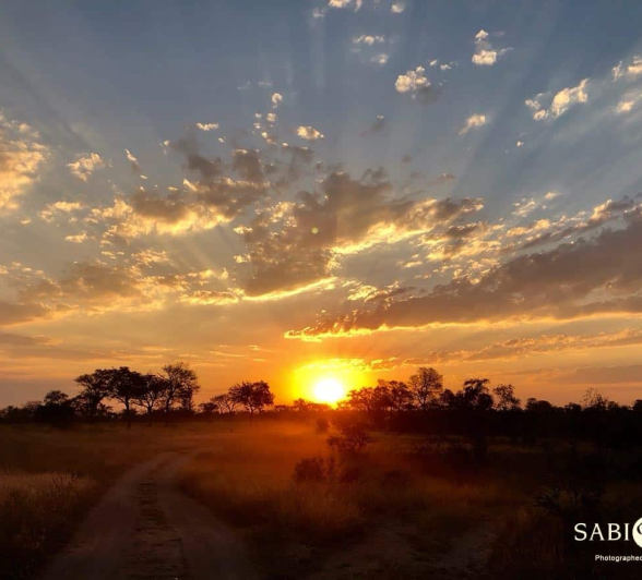 Louise Murray Sunset 12052018 1 Final