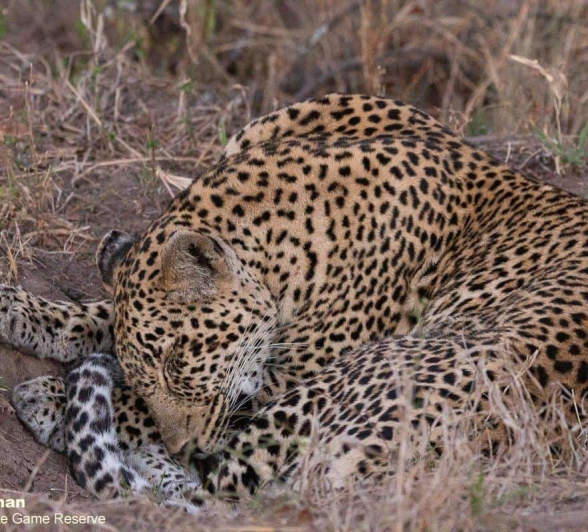 07Greg Heasman Scotia 09072020 2 Final