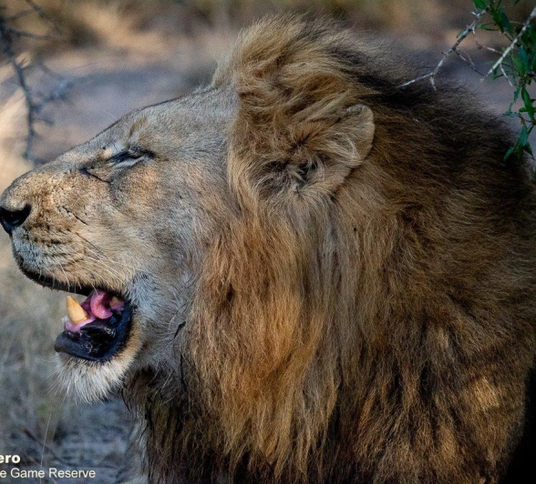 A19ronald Mutero Nwash 26092021  3 Final A19ronald Mutero Nwash 26092021  3 Final