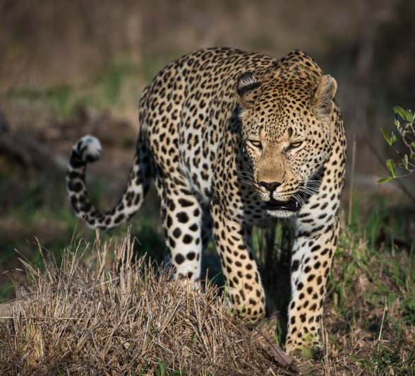 07Terry Ennever Highlights Sept Oct 7